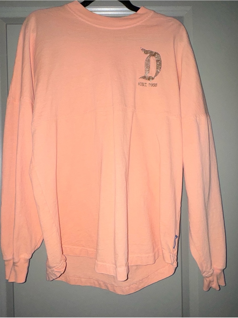 Disneyland Rose Gold Spirit Jersey